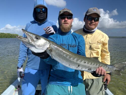 barracuda fishing mexico