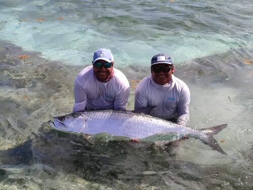 tarpon fishing mexico