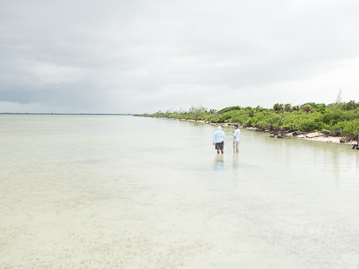 chetumal bay fly fishing